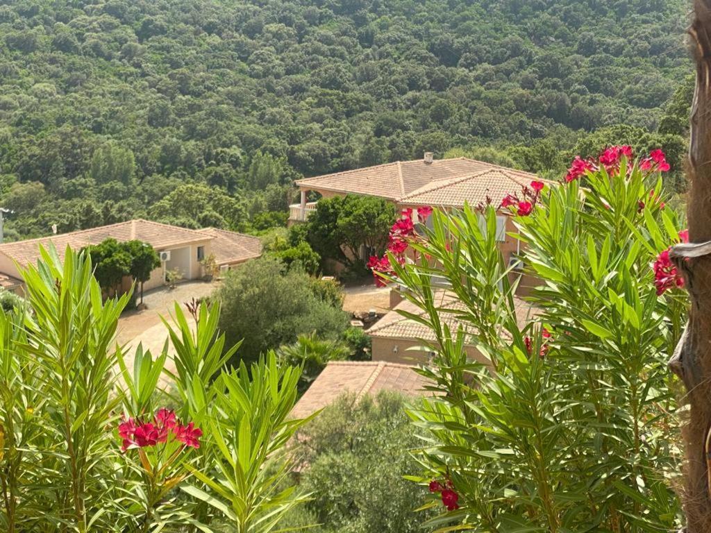 Hotel Via Mare Sainte-Lucie de Porto-Vecchio Exterior foto